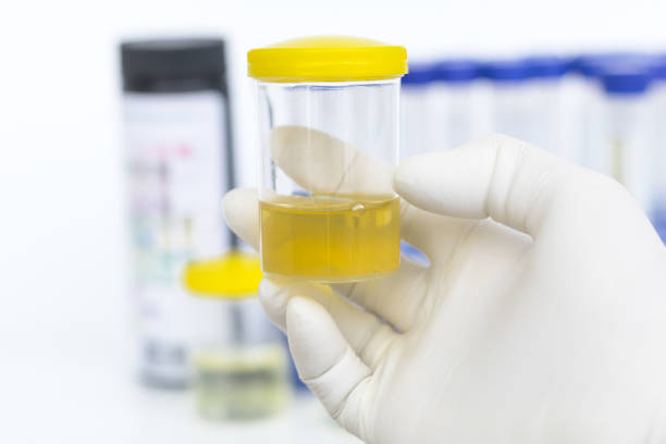 lab testing support services