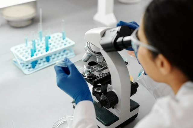 laboratory testing with online results review